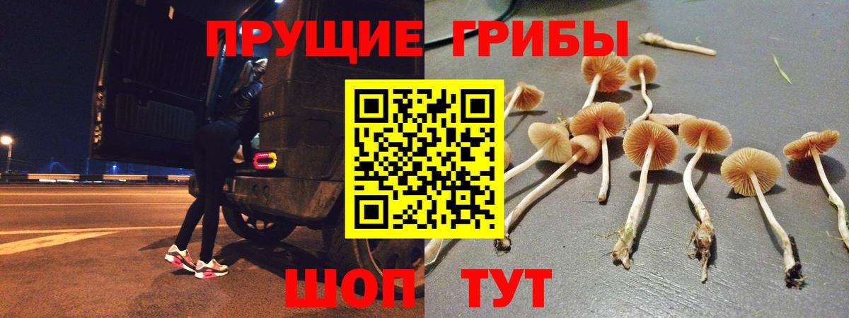 Псилоцибиновые грибы прущие грибы  Вход с VPN  Псилоцибиновые грибы ЛСД  Аксай 